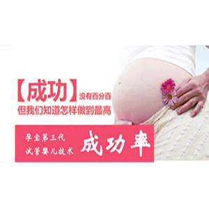 助孕全委托协议50万